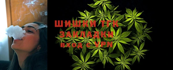 мдпв Гусь-Хрустальный