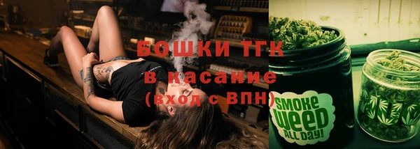 мдпв Гусь-Хрустальный