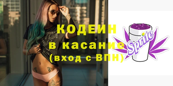 мдпв Гусь-Хрустальный