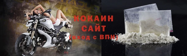 мдпв Гусь-Хрустальный