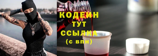 мяу мяу мука Гусев