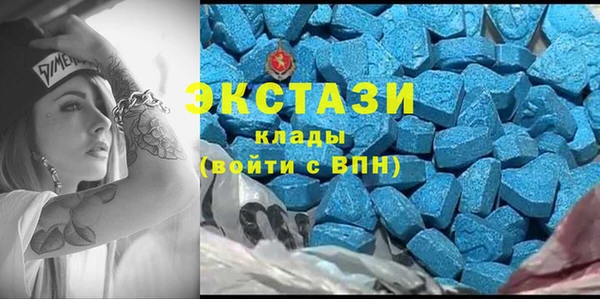 мдпв Гусь-Хрустальный