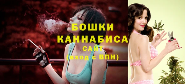 мдпв Гусь-Хрустальный