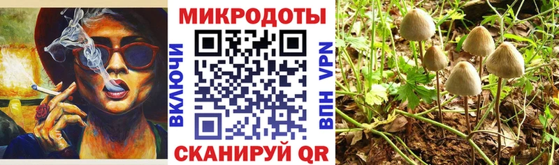 Купить  Касимов  Галлюциногенные грибы Magic Shrooms 